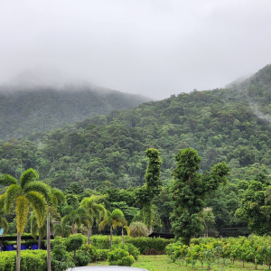 Produkt testowy 1000 wariantów